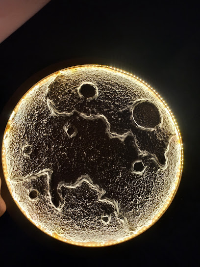 Art Lush: Art Workshops | Art Parties | Customised Paintings | Resin Varmala Preservation