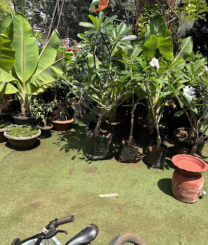 Bliss Garden Nursery