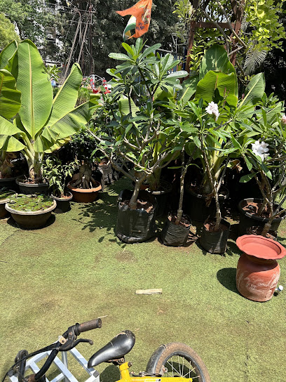 Bliss Garden Nursery