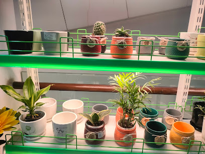 Garden tales Nursery (indoor plants)