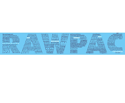 RAWPAC SPORTS