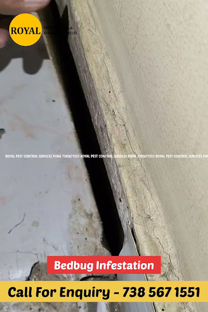 Royal Pest Control Pune